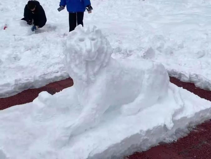 用雪堆狮子的图片图片