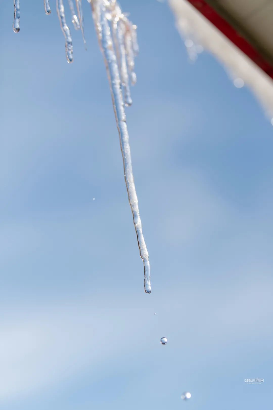 冰融了,雪化了,它们都要坠落伤人了!