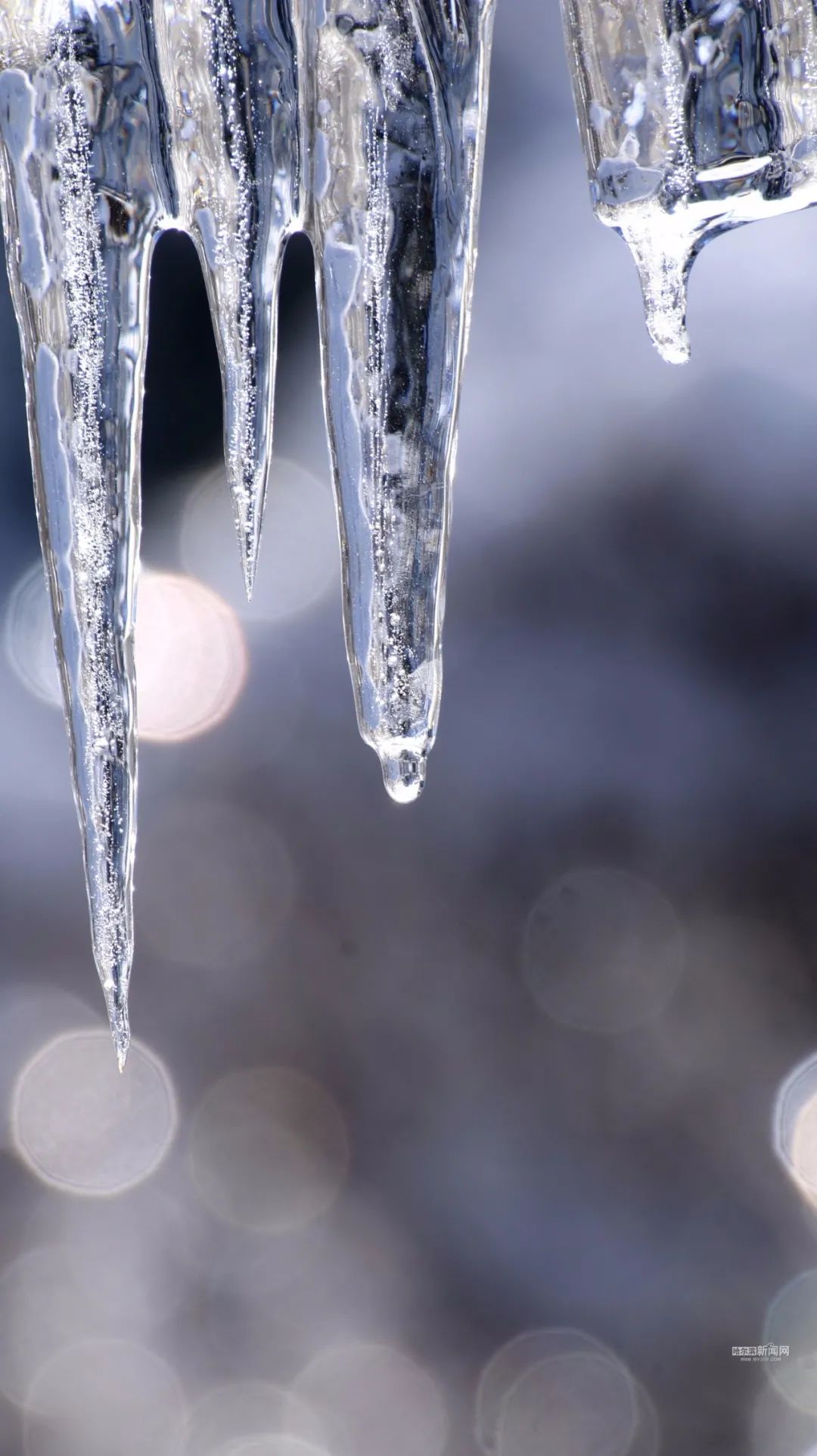 再提醒1公斤冰溜子砸下等于14块砖高空坠冰地面湿滑头上脚下要同防