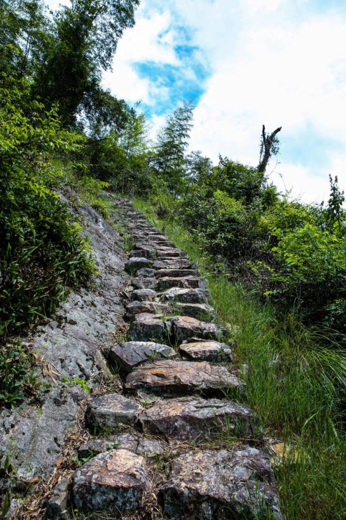 大别山国家森林步道图片