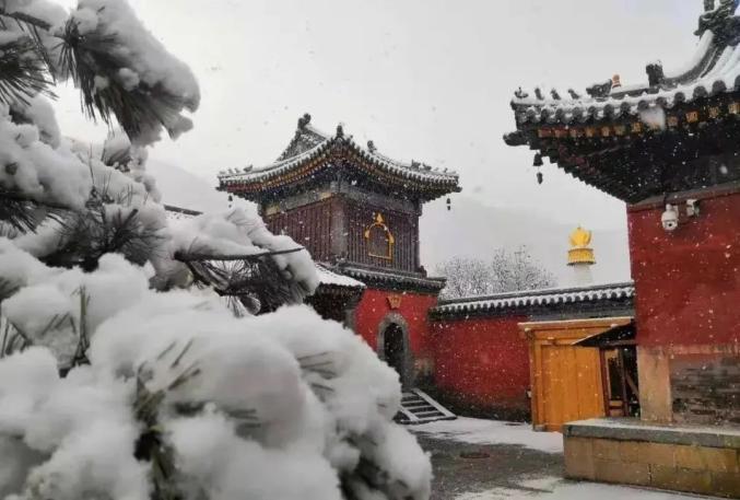 一下雪五台山就美成了仙境