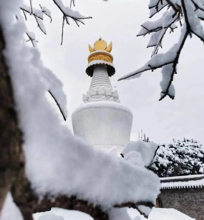 一下雪五台山就美成了仙境