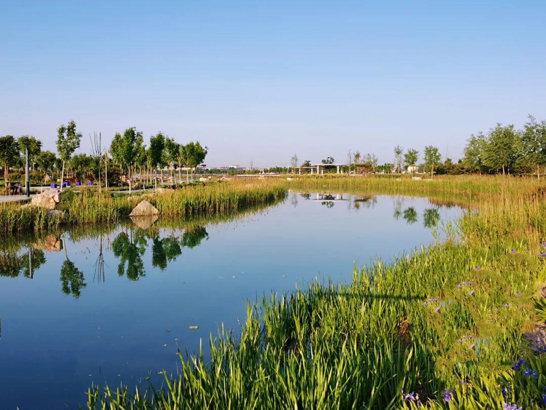 冬日,最爱宁晋的"五颜六色"