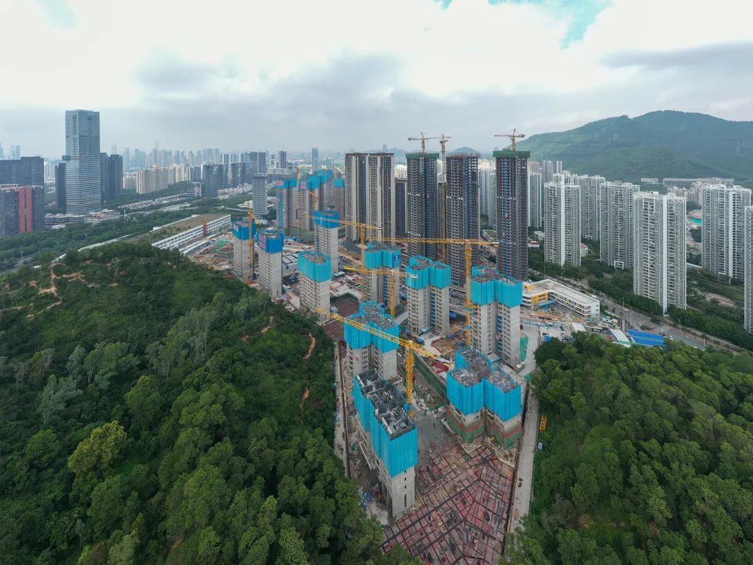 全力推进!深铁集团将提供超3000套高质量公共住房