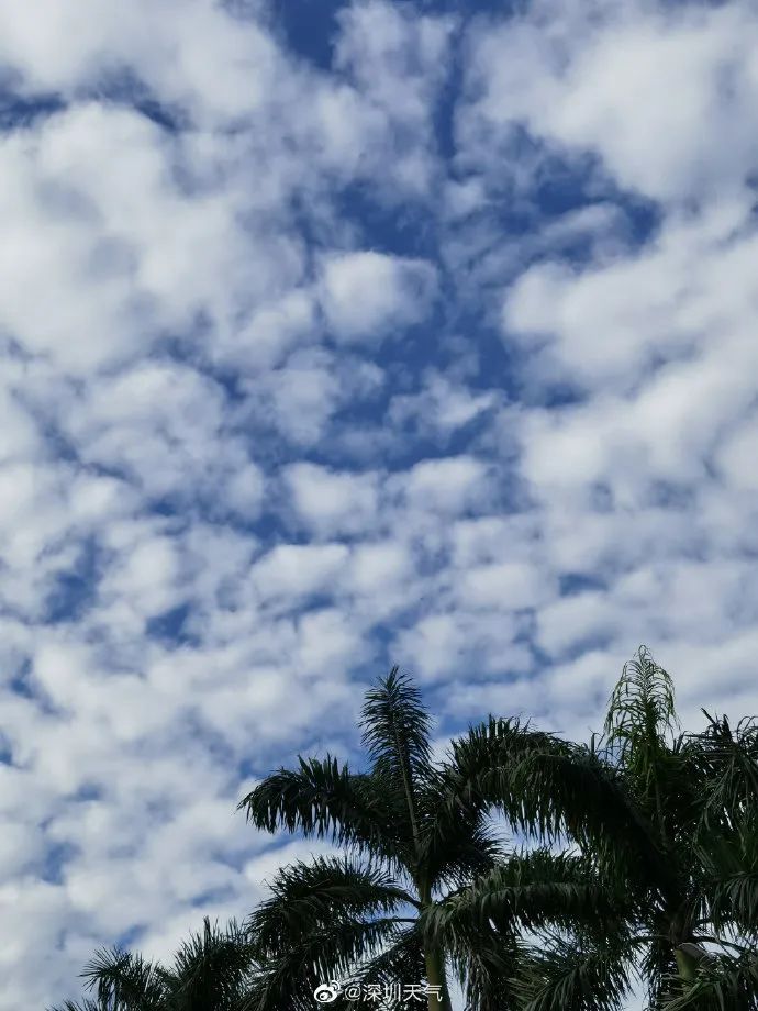 一碧如洗的天空与昨晚"剁手"的你适配度极高再抬头看看广东今天的天空
