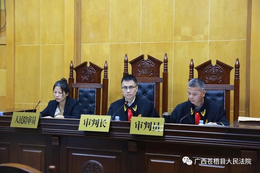 苍梧法检两长同庭履职开庭审理岑溪市人大常委会原副主任徐伟翔受贿案