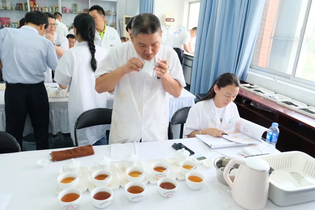 審 評 實 踐茶葉感官審評水平 六級國家一級評茶員中國茶葉博物館 客