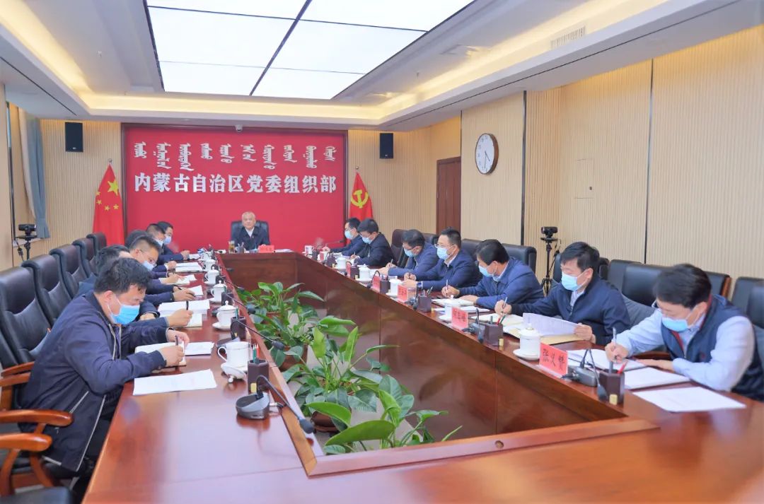 自治区党委组织部召开全区加强换届风气监督工作电视电话会议