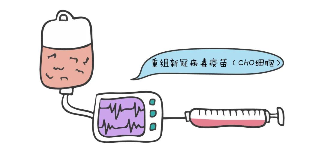 接种过龙科马重组新冠疫苗的小伙伴可以来续针啦