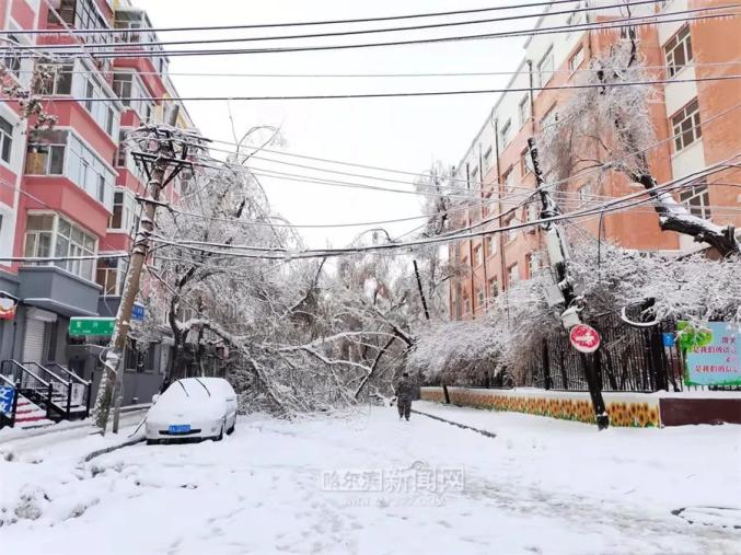 这是1961年以来哈尔滨市出现的最强一次大范围冻雨灾害,哈市街路和各