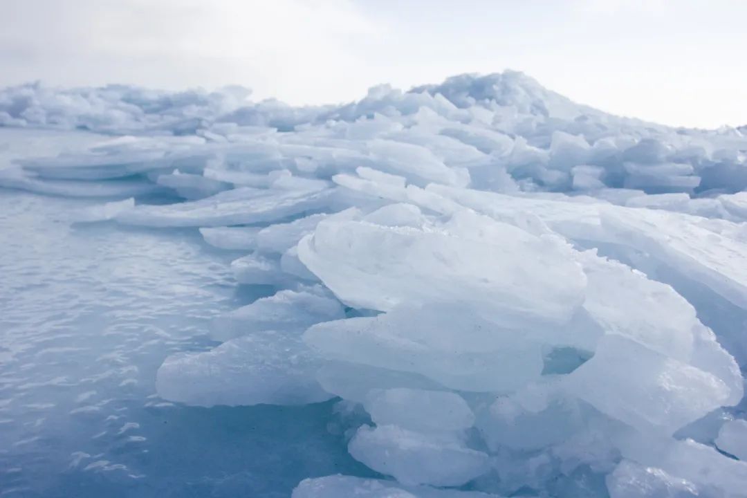 大神仙鱼视频_鱼会不会被冻死_鱼冬天如何过冬