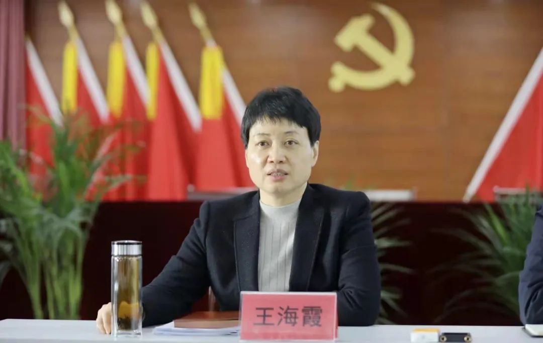 区委书记王海霞调研农业农村工作