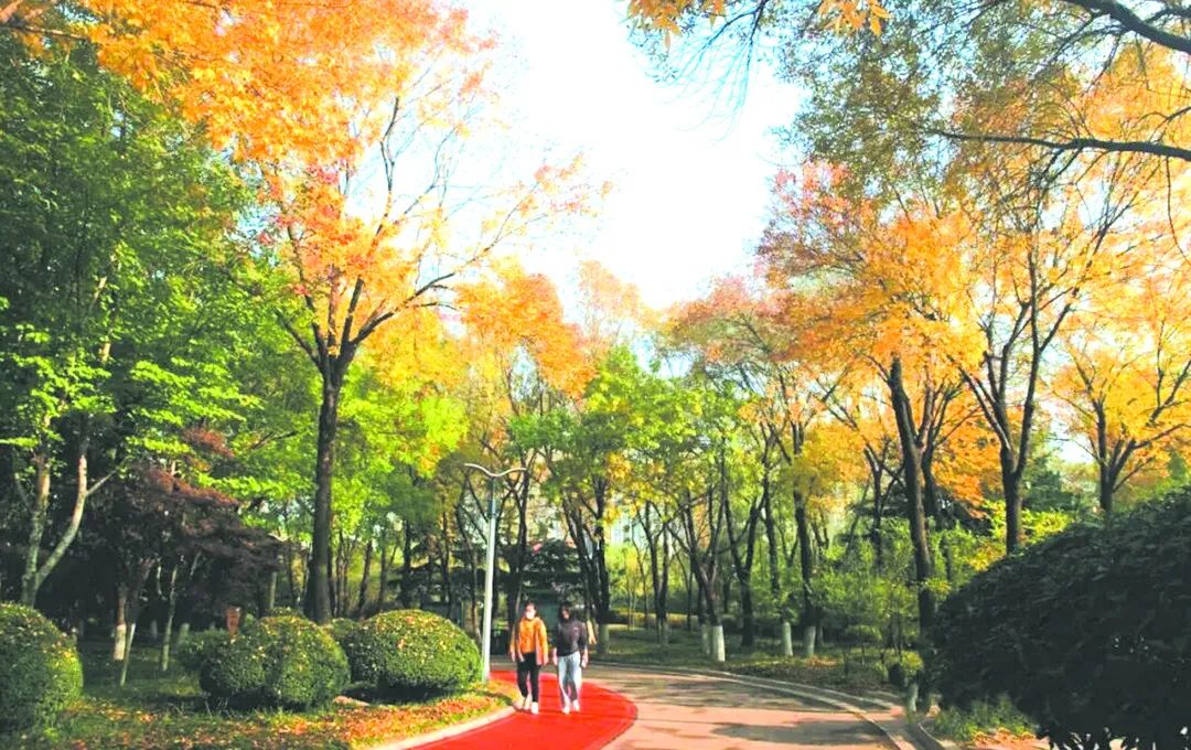 银河公园:层林尽染,斑斓多姿美如画