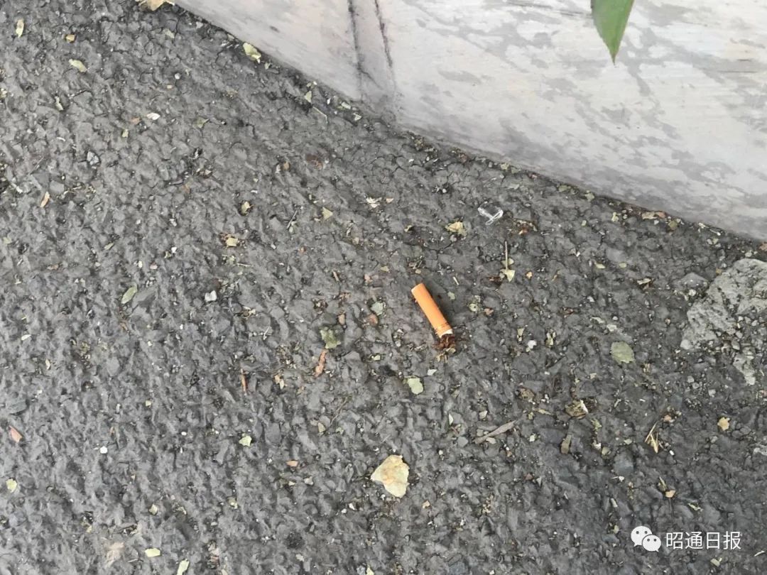 曝光台公共场所乱丢烟头现象成顽疾