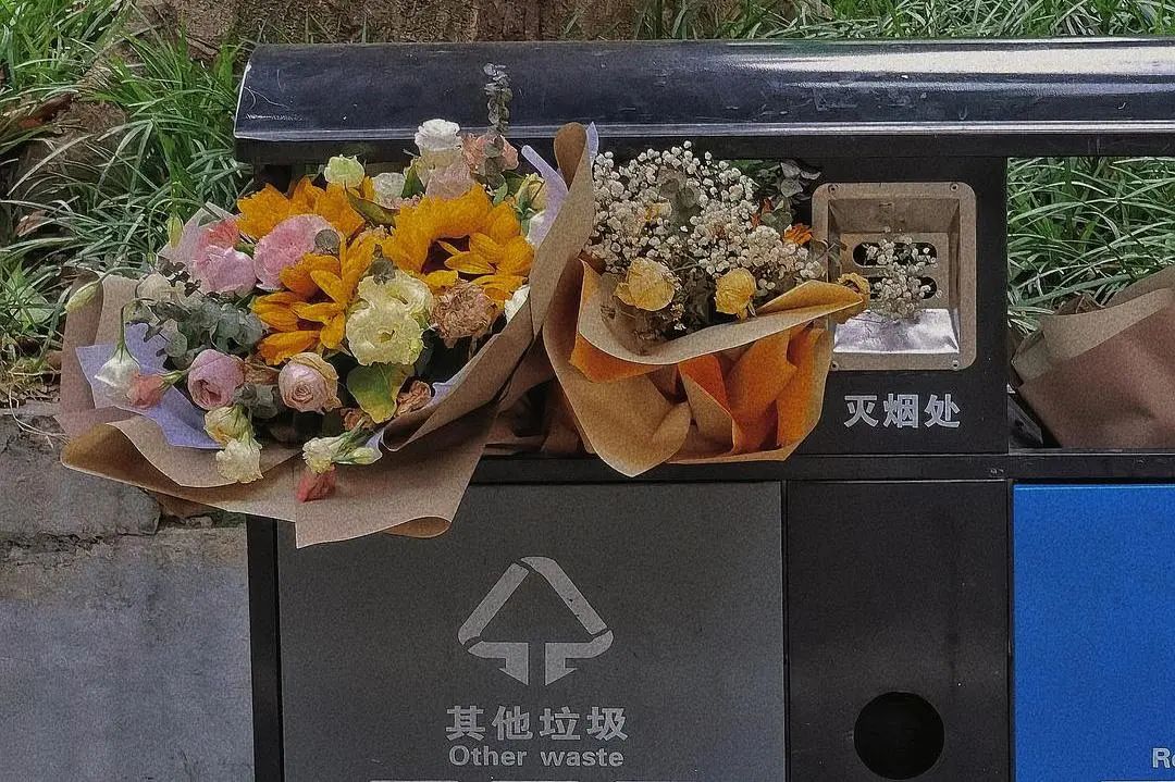 垃圾桶里的玫瑰花高清图片