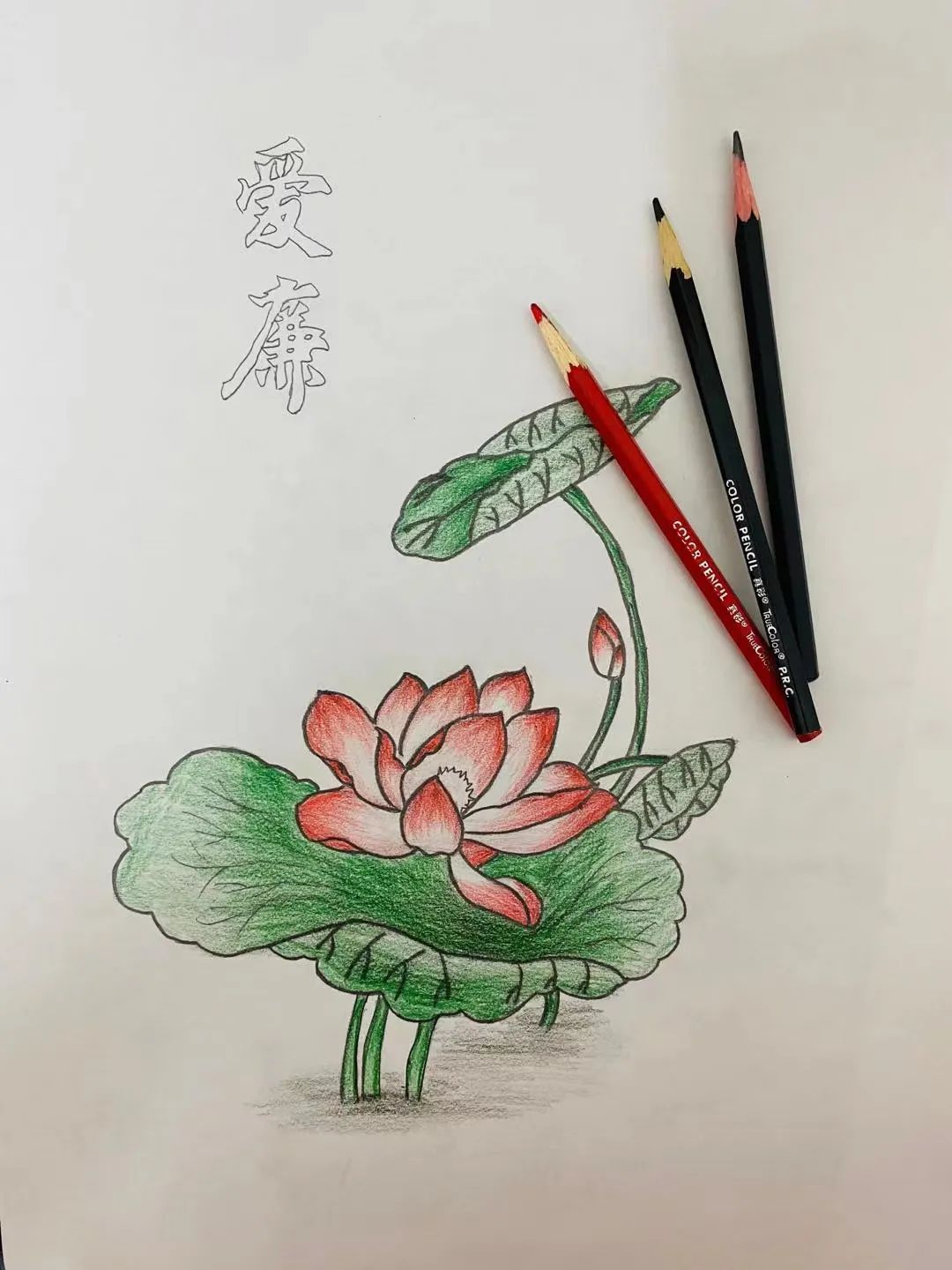 反腐倡廉擦亮基层风气底色倡导清正廉洁作风