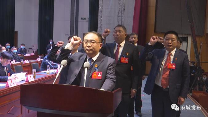 常务委员会委员;叶旭,程伟,张星,陈琪,洪为民,吴静,王开伟当选为市人