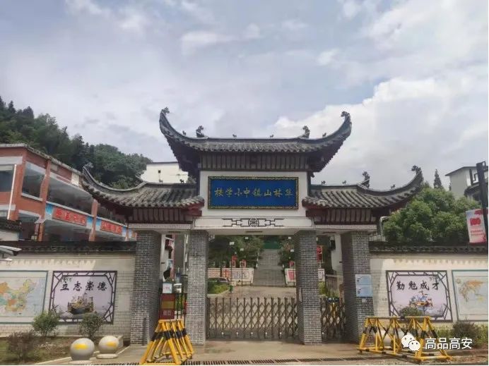 我为群众办实事华林山镇重点民生项目进展情况公布