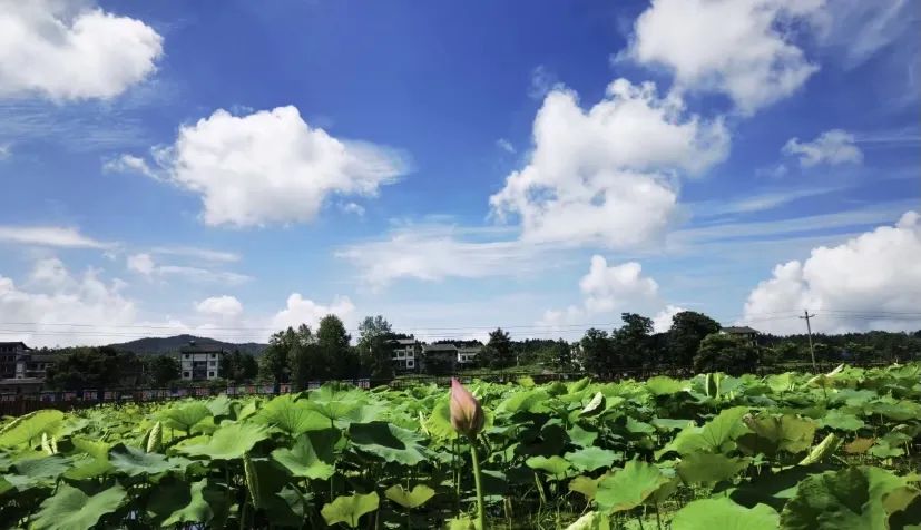 隆兴四季花园位于道真自治县隆兴镇浣溪村,是一座占地500亩的农旅一体
