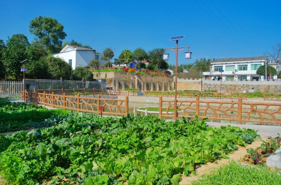 长沙县这些高颜值美丽乡村你去过没