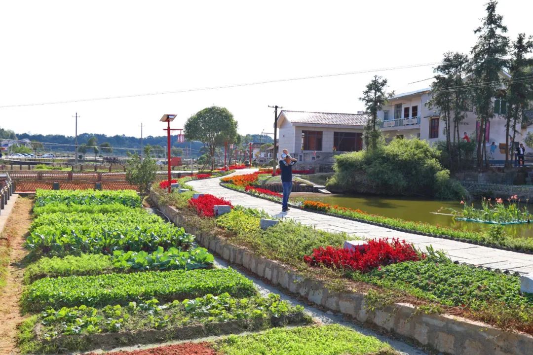 长沙县这些高颜值美丽乡村你去过没