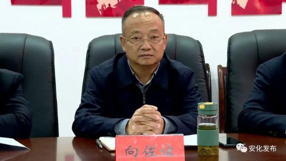 向佐谊来安化县调研乡村振兴工作