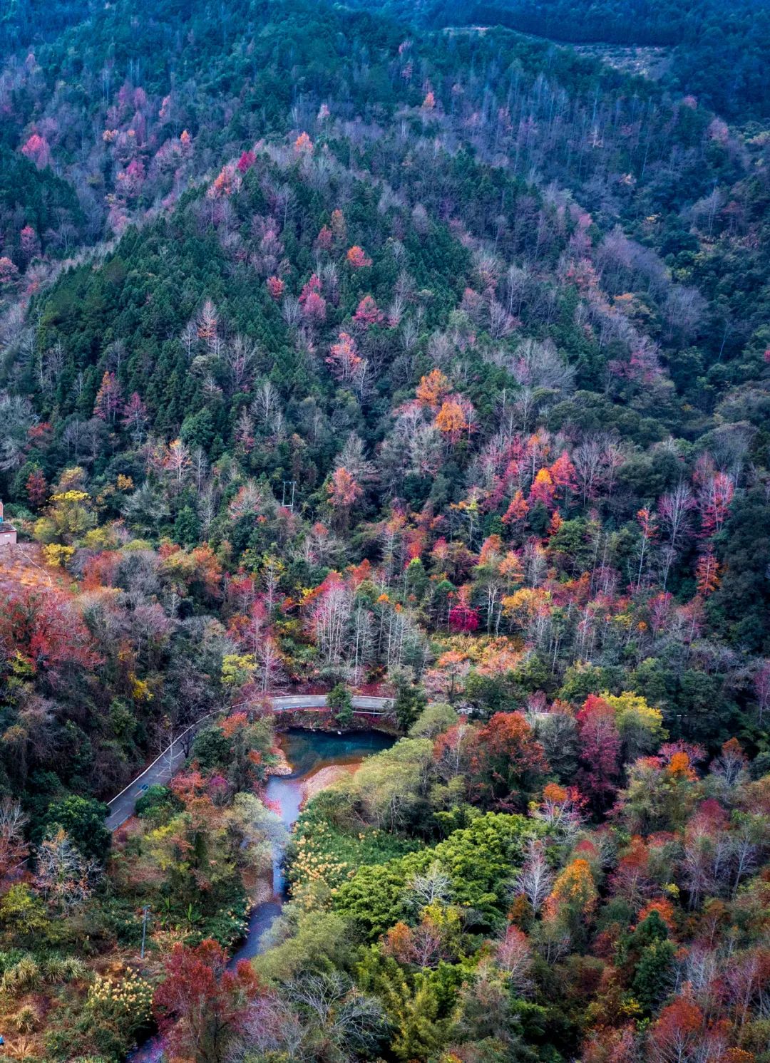 是谁打翻了调色盘车八岭景色五彩斑斓美极了