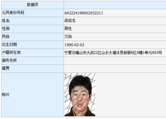 隆德县人民法院失信被执行人名单及限制高消费令2021年第九批