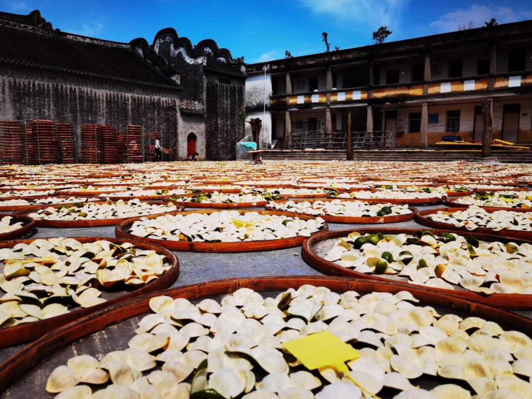 (新会陈皮炮制技术)