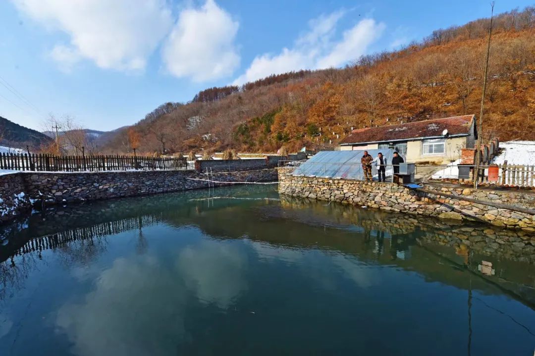 本溪市南芬區下馬塘街道愛國村老泉眼養河魚富農家