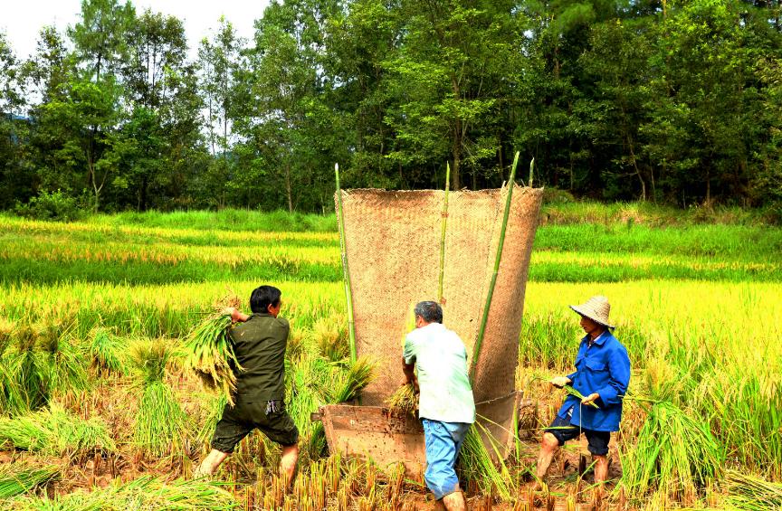 农耕文化川西农耕文化拾零二以芦山县为例深山人家┉┉李腾鹏