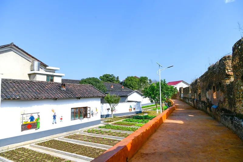 乡村振兴看浏阳浏阳建成首个烤烟产业文化主题屋场