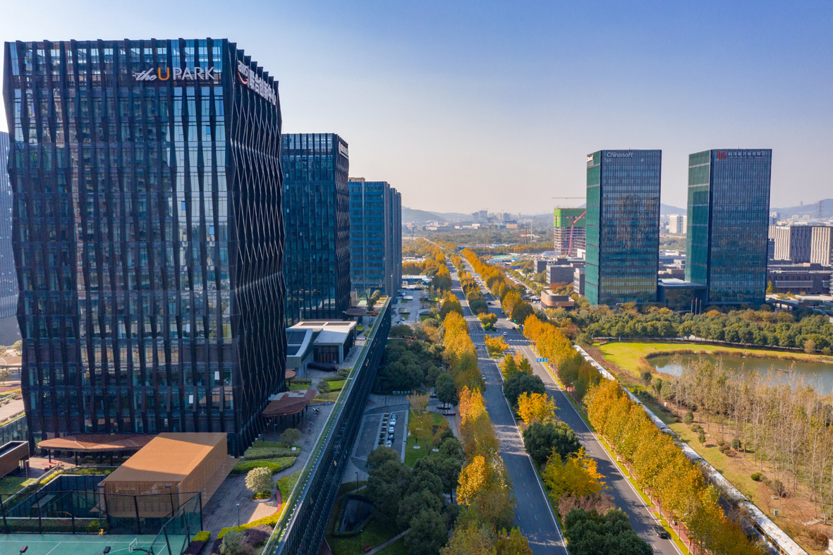 南京未来科技城金黄又碧玉尽显初冬之美