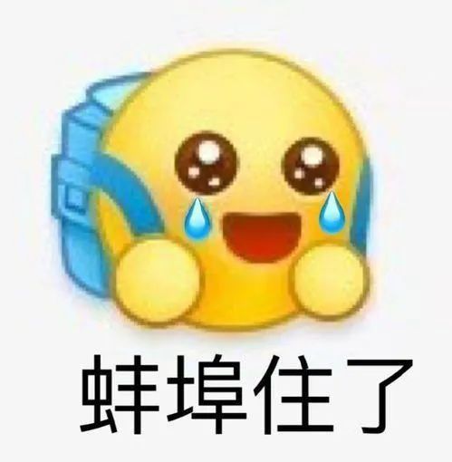 看完形形色色的谐音梗我彻底蚌埠住了