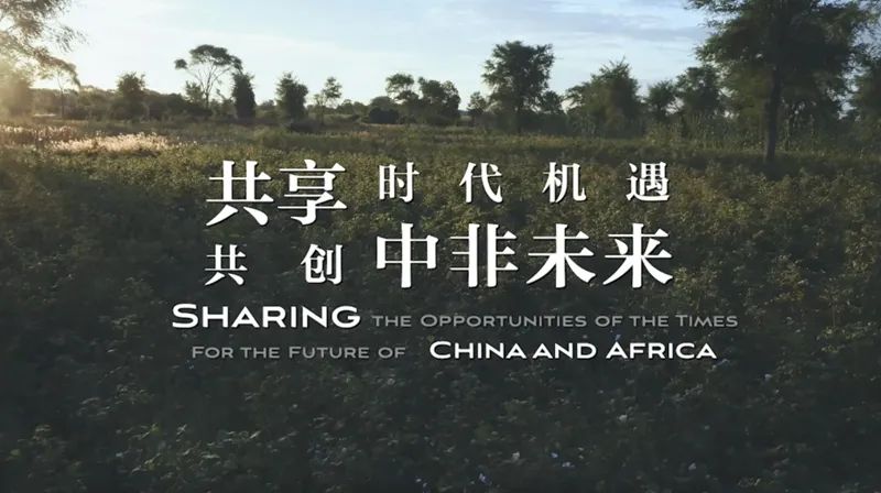 共享时代机遇共创中非未来