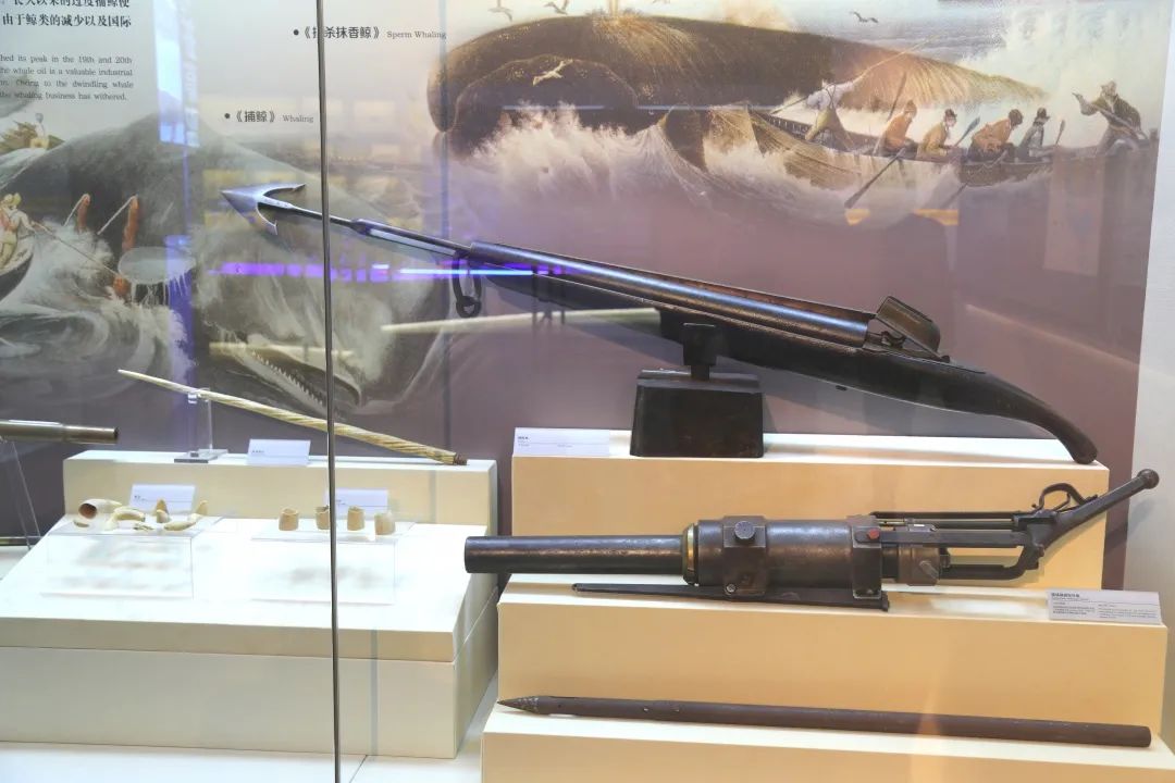 和专用工具制造商kongsberg生产,1870年曾在挪威最大的捕鲸渔船上使用