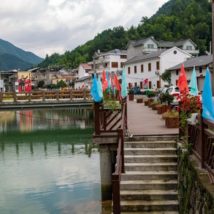 美丽庭院一米菜园精品线路展示④│藏在衢州市常山县东案乡庭院里的