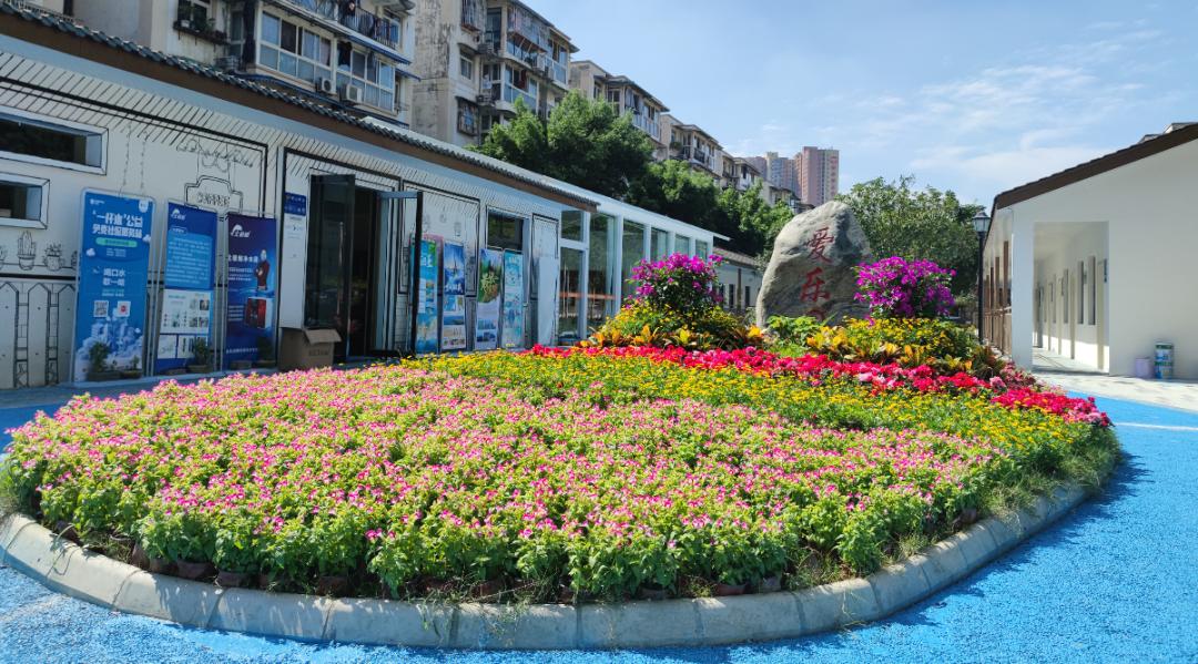 花惠万家 家门口最美 锦江区这6个社区花园获表彰