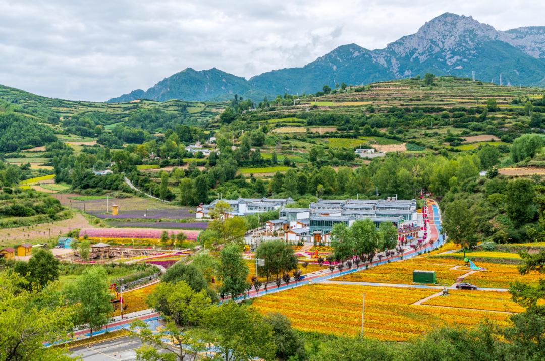 迭部县电尕镇谢协村入选文化和旅游部旅游扶贫案例