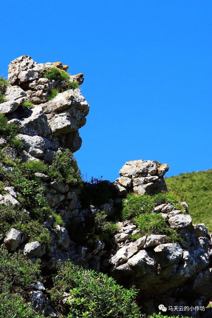 魅力漳县图胜千言再上露骨山
