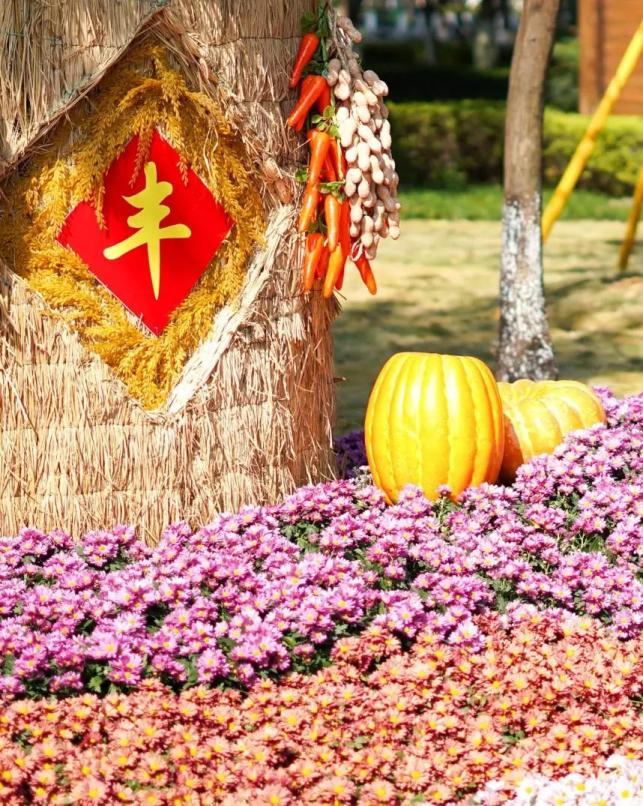 更增添活泼,飘逸的视觉体验 同时也代表真心欢迎四海宾朋 五谷丰登