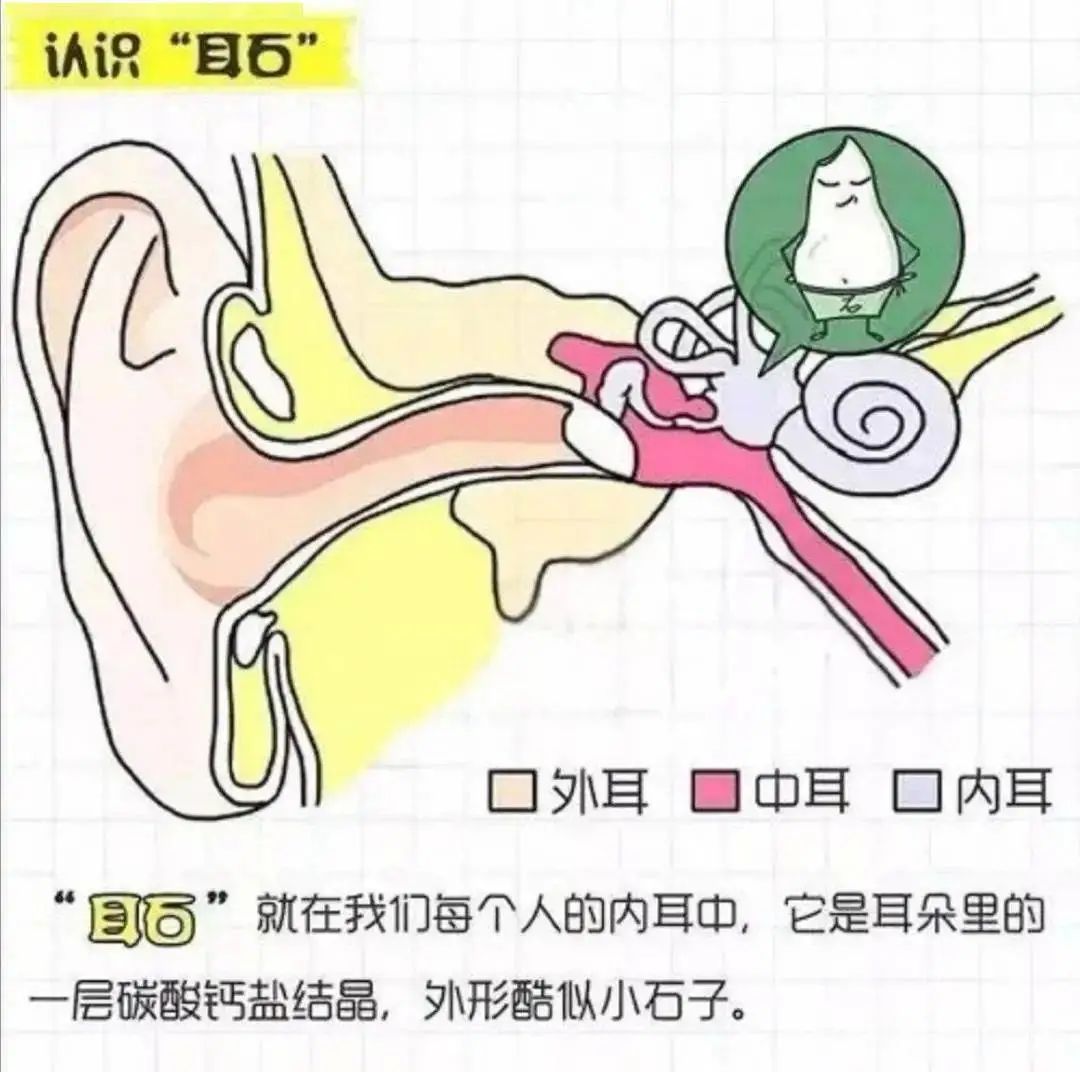 耳石症有什么症状表现图片