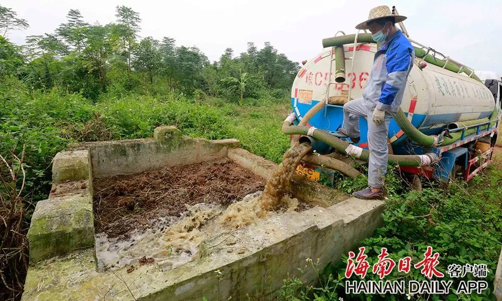 组图视频澄迈农厕粪污清掏打通厕所革命最后一公里