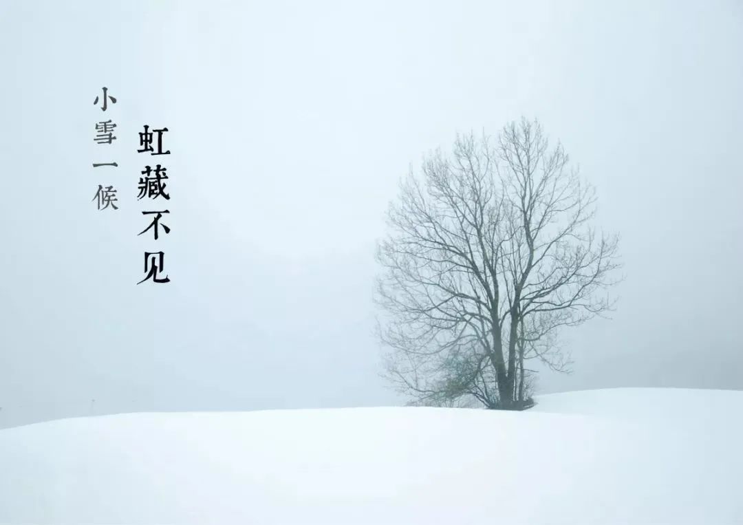 今日小雪