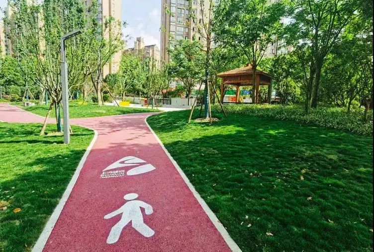 总长超4公里宝山新增生态步道等你打卡