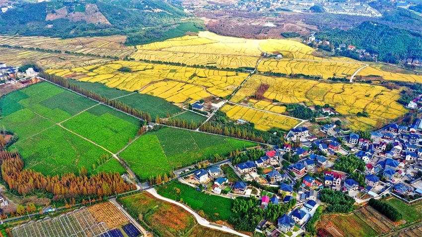 11月11日,长兴县和平镇,西苕溪流经的吴山村,小溪口村,狄家(土斗)村