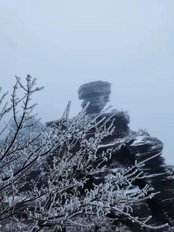 絕美貴州11縣域迎來雨夾雪小雪梵淨山猶如仙境初雪天做這件事最爽