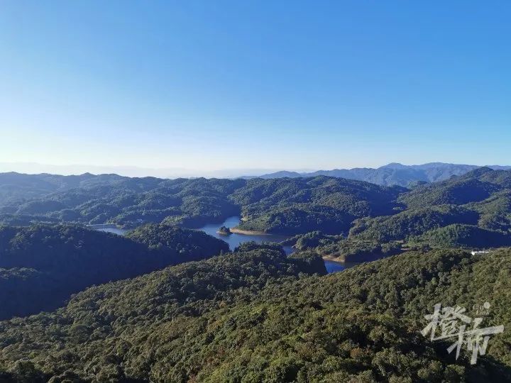 裡原始森林一個樣哀牢山範圍很廣,涉及四個縣市:鎮沅,景東,楚雄和玉溪