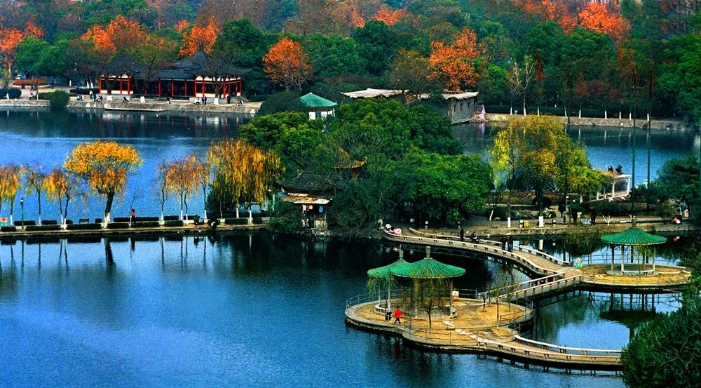 水韵东湖61醉美百花洲主题摄影摄像大赛开赛啦