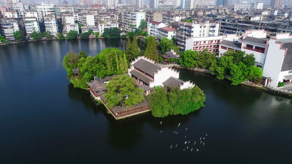 水韵东湖61醉美百花洲主题摄影摄像大赛开赛啦